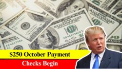 U.S. residents to receive $250 surprise  stimulus checks in November – who qualifies and how to track your deposit this month